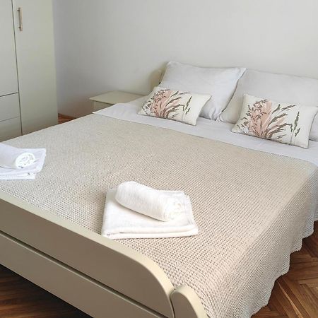 Orient Apartman Sremska Kamenica 外观 照片
